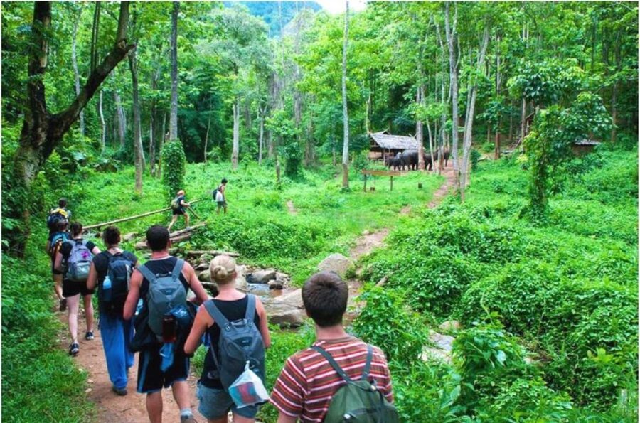 From Hanoi: 2-Day Ha Long Bay Tour with Ninh Binh and Cruise - Day 2 in Ninh Binh: Bai Dinh Pagoda scale, Trang An UNESCO caves, Mua Cave viewpoint