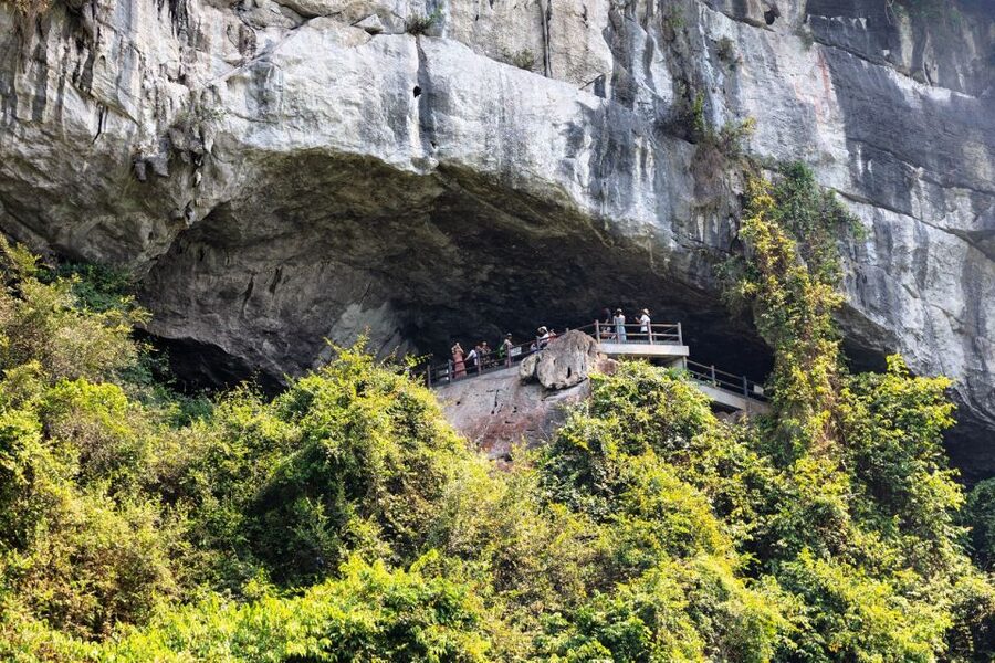 From Hanoi: 2-Day Ha Long Bay Tour with Ninh Binh and Cruise - Which parts are best for different traveler types
