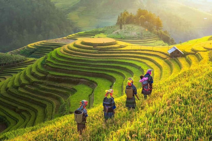 From Hanoi: 2-Day Luxury Sapa Trekking Tour with Homestay - From Hanoi at 9:30 PM: the sleeper bus setup