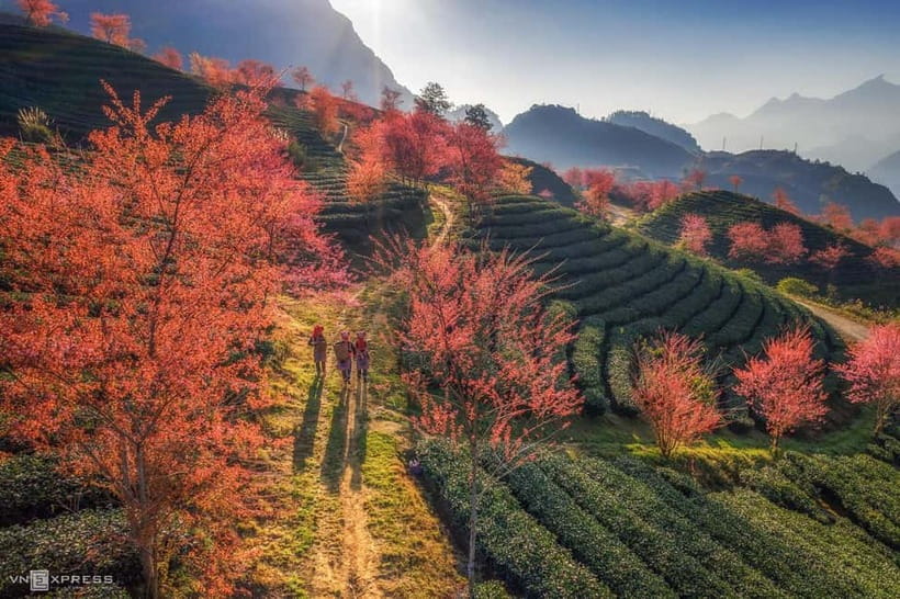 From Hanoi: 2-Day Luxury Sapa Trekking Tour with Homestay - Ta Van homestay afternoon: spring rolls, private rooms, and real downtime