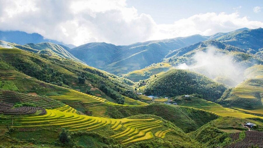 From Hanoi: 2-Day Overnight Sapa Tour by Limousine - The 9-seater limousine ride that sets the tone