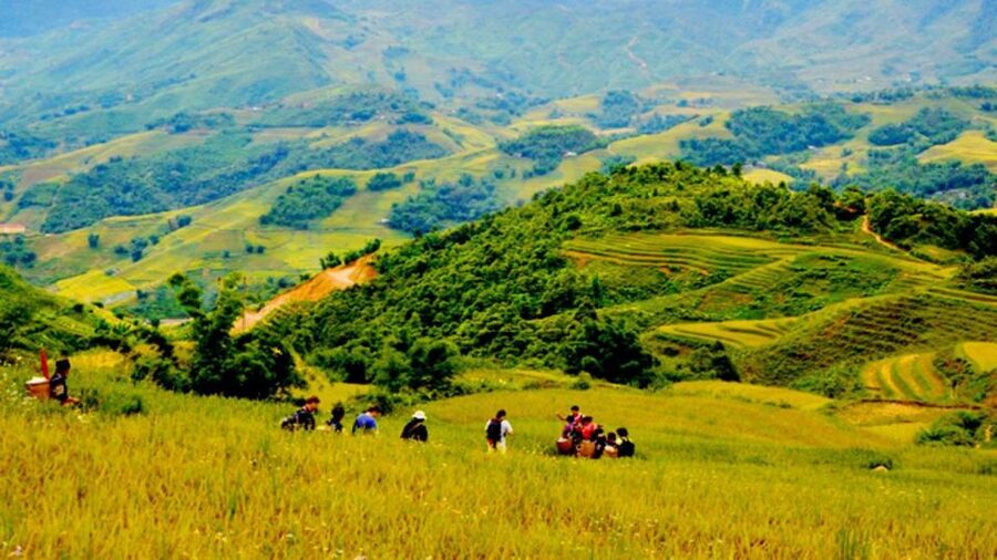From Hanoi: 2-Day Overnight Sapa Tour by Limousine - Who this tour suits, and who should skip it