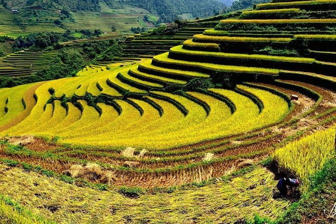 From Hanoi: 2-Day Overnight Sapa Tour by Luxury Van Limousine - Who should book this Sapa overnight tour