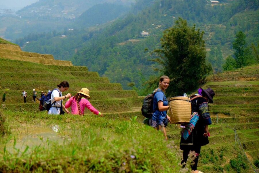 From Hanoi: 2-Day Sapa, Fansipan, and Muong Hoa Valley Tour - Key highlights worth caring about