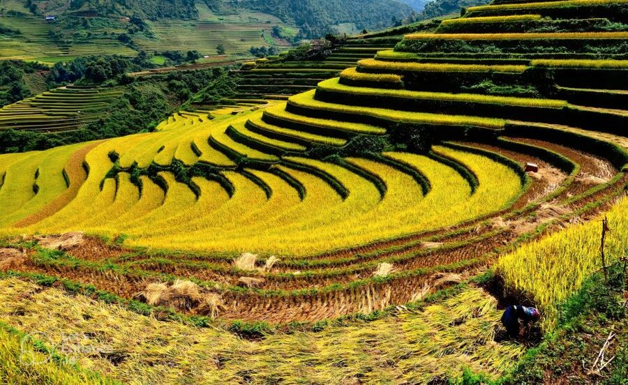 From Hanoi: 2-Day Sapa-Fansipan Peak & Trek & Ha Giang Bus - How You Choose the Ending: Hanoi Return or Continuing to Ha Giang