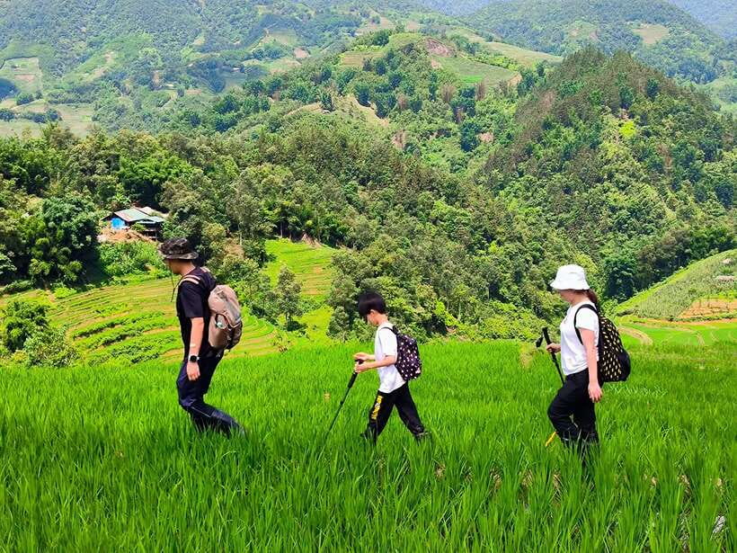 From Hanoi: 2-Day Sapa Trek Tour - Luxury Limousine Transfer - Guides you might get, and what to look for during the walks