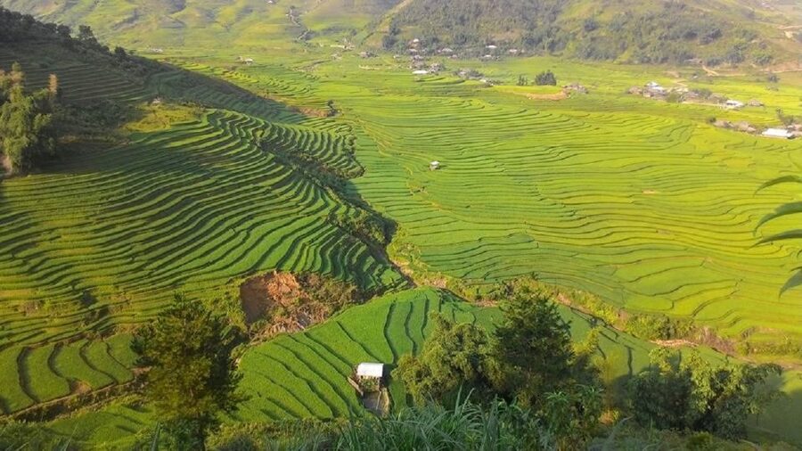 From Hanoi: 2 Day Sapa Trekking To Village & Bungalow, Meals - Key points to know before you go