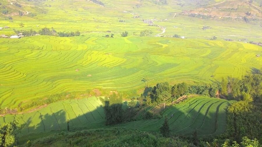 From Hanoi: 2 Day Sapa Trekking To Village & Bungalow, Meals - What This Sapa 2D1N Trek Feels Like