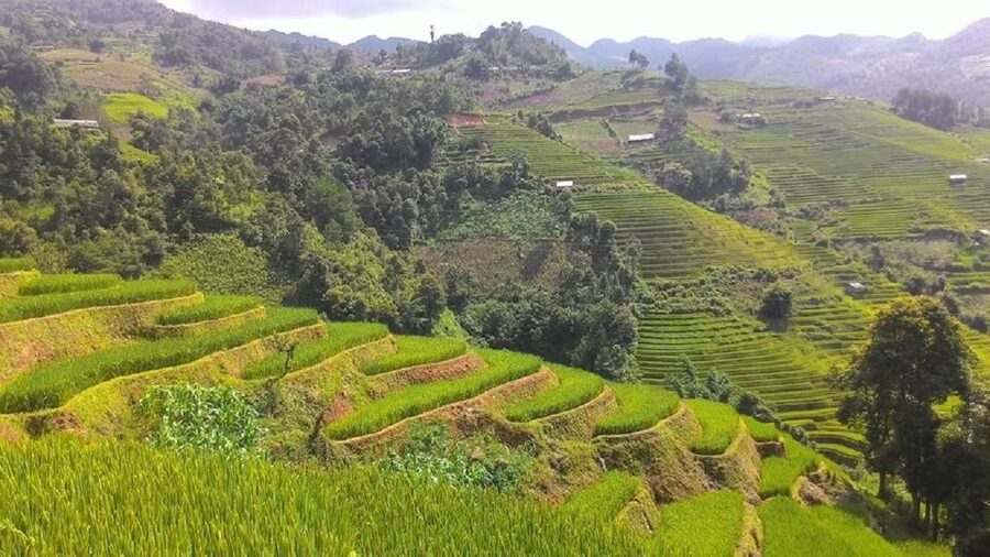 From Hanoi: 2 Day Sapa Trekking To Village & Bungalow, Meals - Price and Logistics: What $87 Actually Buys You