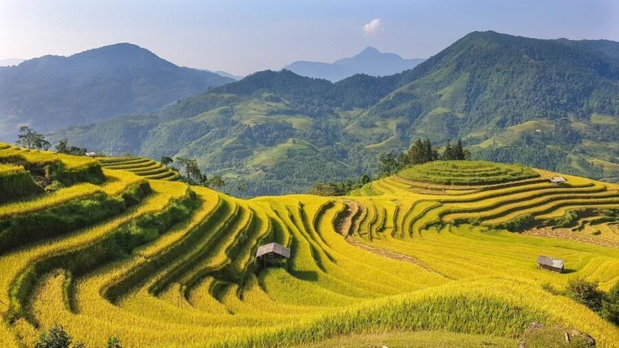 From Hanoi: 2 Day Sapa Trekking To Village & Bungalow, Meals - Where the Culture Stops Actually Matter