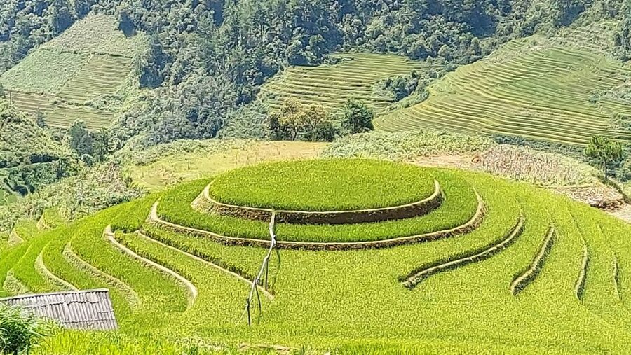 From Hanoi: 2 Day Sapa Trekking To Village & Bungalow, Meals - Who This Trek Suits Best