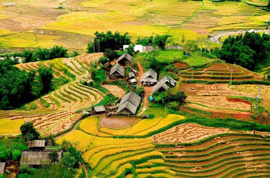 From Hanoi: 2-Day Sapa Trekking Trip with Homestay & Meals - Key highlights to know before you go