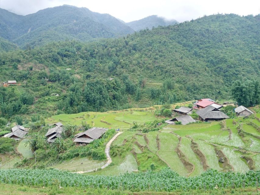 From Hanoi: 2-Day Sapa Trekking Trip with Homestay & Meals - Food That’s Included, and What Farm-to-Table Means Here