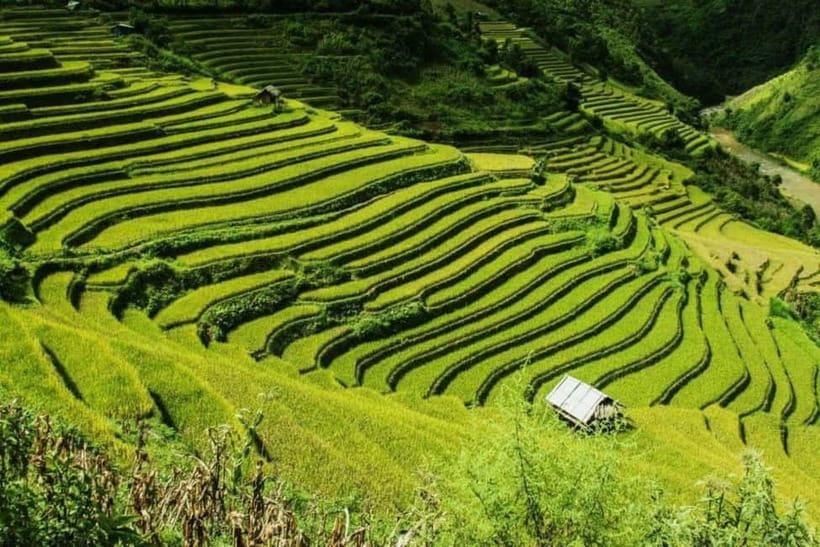 From Hanoi: 2-Days Sapa Trek Lao Chai/Cat Cat, Fansipan Peak - Two Days From Hanoi to Sapa, Then Up to Indochina’s Roof