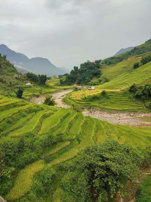 From Hanoi: 2-Days Sapa Trek Lao Chai/Cat Cat, Fansipan Peak - Price and What You Actually Get for $137
