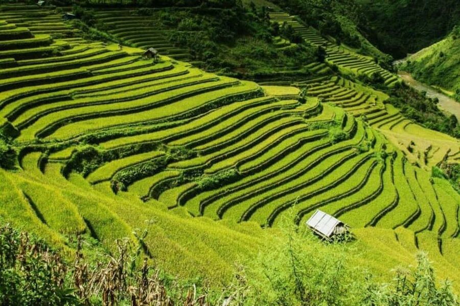 From Hanoi: 2-Days Sapa Trekking Tour Lao Chai and Cat Cat - Key Points You Should Know Before You Go