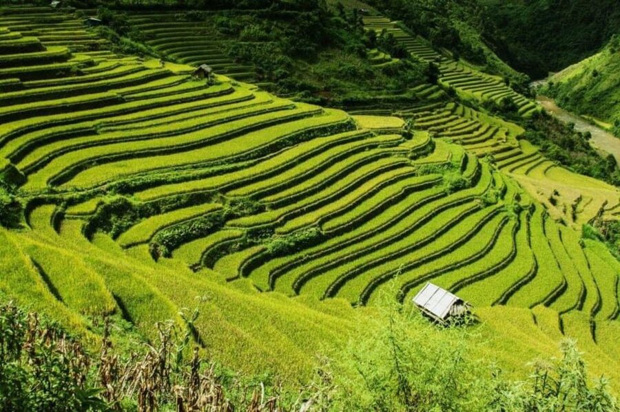 From Hanoi: 2-Days Sapa Trekking Tour Lao Chai and Cat Cat - Overnight In Sapa: Hotel Base, Warm Layers, And A Real Reset