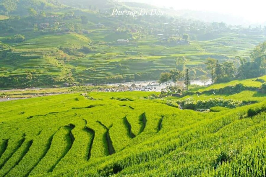 From Hanoi: 2-Days Sapa Trekking Tour Lao Chai and Cat Cat - Day 2 Lao Chai And Ta Van: Rice Terraces, Muong Hoa Streams, And A Longer Walk
