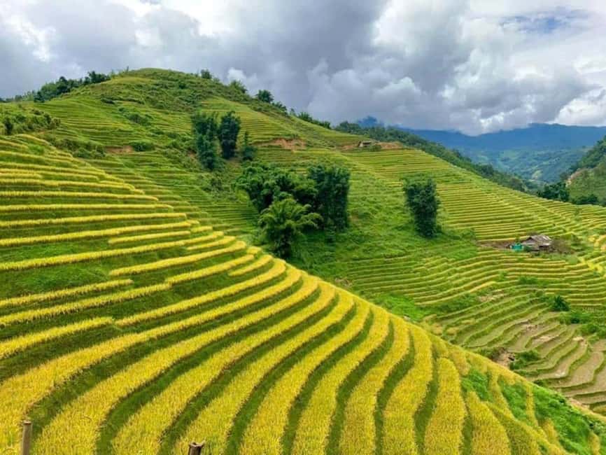 From Hanoi: 2-Days Sapa Trekking Tour Lao Chai and Cat Cat - Returning To Hanoi: Ta Van Bridge Pickup, Sapa Lunch, And A Late-Day Drive