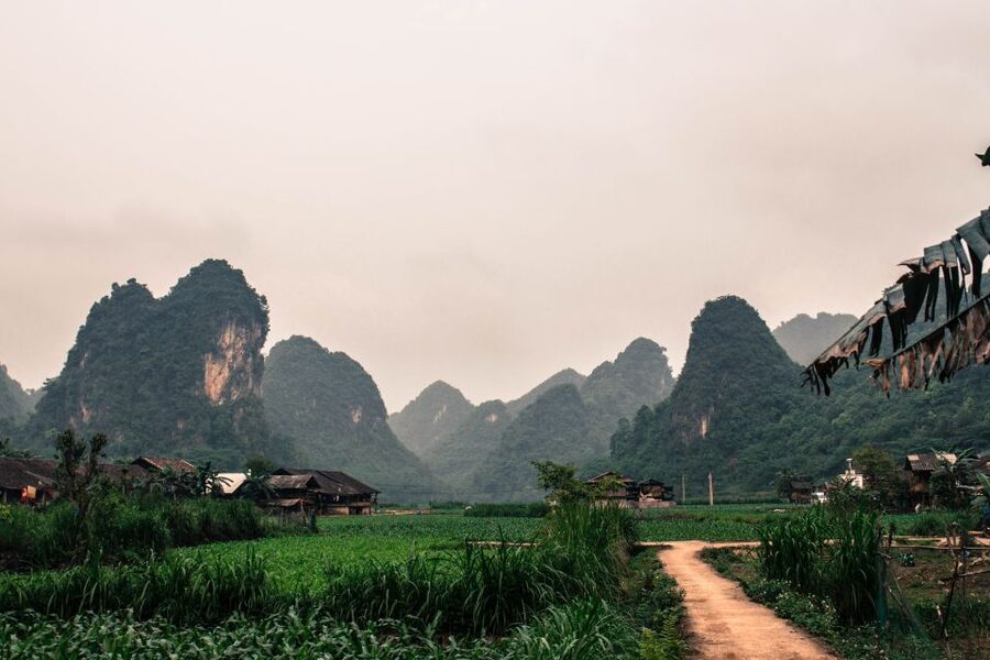 From Hanoi: 3-Day Ba Be Lake & Ban Gioc Falls Private Tour - Homestays with Tay and Nung families: what to expect and how to make it smooth