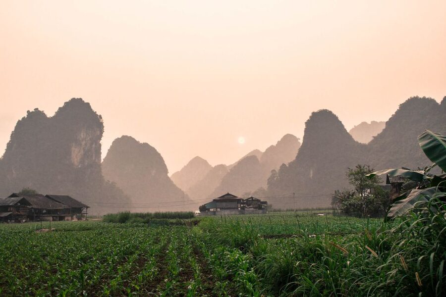 From Hanoi: 3-Day Ba Be Lake & Ban Gioc Falls Private Tour - Getting around: private car comfort, long days, and what matters most