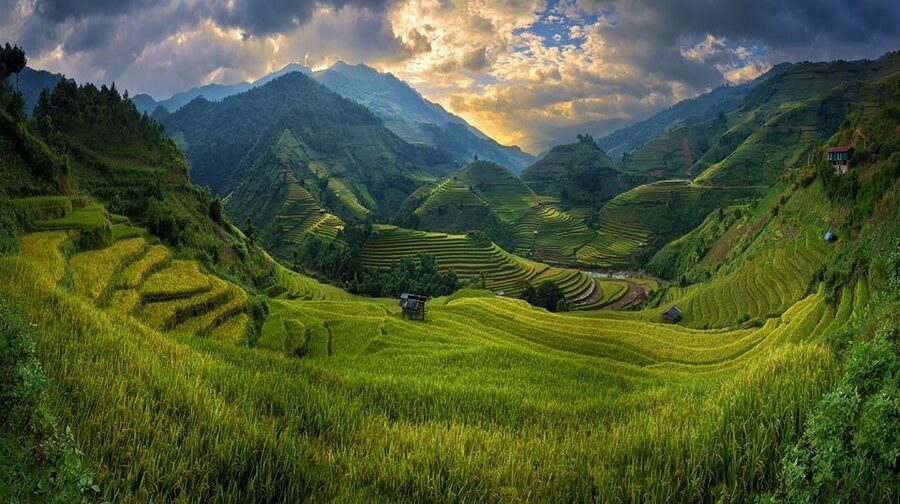 From Hanoi: 3-Day Sapa Trekking with Limousine Transfer - Guides, local food, and how the trip stays understandable