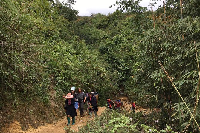 From Hanoi: 3 Days Luxury Sapa Trek & Fansipan Peak with Dcar - Trekking reality check: your fitness, the weather, and your gear