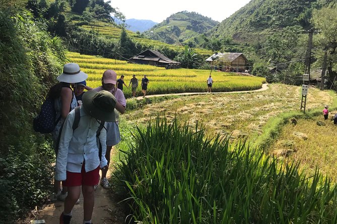 From Hanoi: 3 Days Luxury Sapa Trek & Fansipan Peak with Dcar - Guides and communication: why WhatsApp support is a real benefit