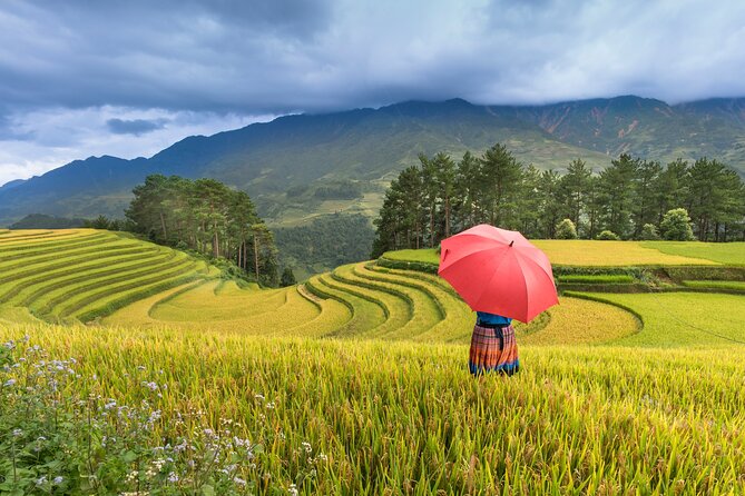 From Hanoi: 3 Days Sapa Trekking & Ethnic Villages by Dcar - Price and value: what $140 really covers