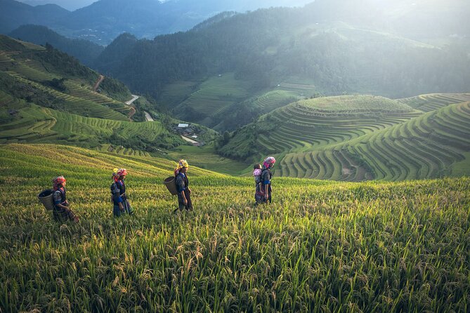 From Hanoi: 3 Days Sapa Trekking & Ethnic Villages by Dcar - Trekking reality check: moderate fitness, cool air, and timing