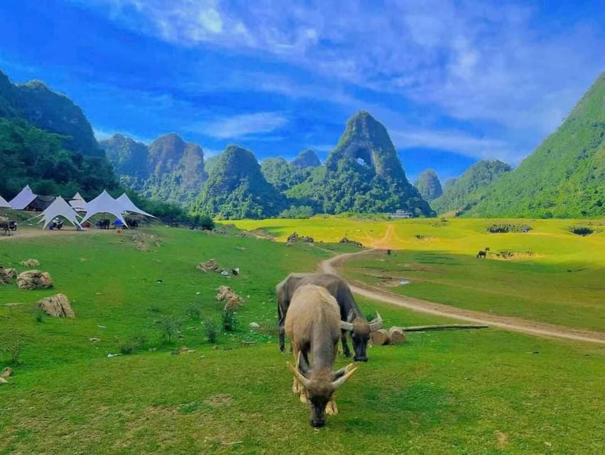 From Hanoi: Ban Gioc Waterfall 2 Day 1 Night - Small Group - What to Bring, What Not to Do, and the Small Extra Costs