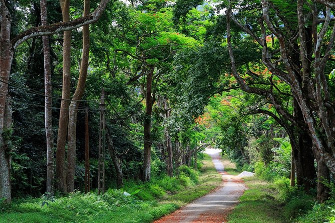 From Hanoi: Cuc Phuong National Park Day Trip by Private Car - Key Highlights You’ll Actually Feel During the Day