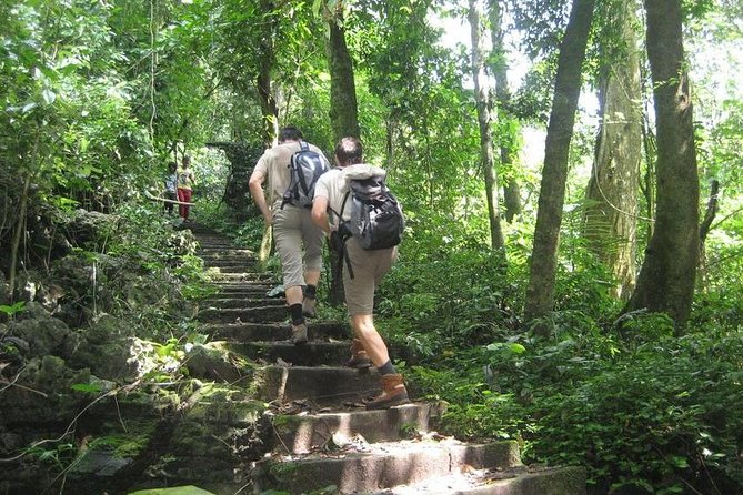 From Hanoi: Cuc Phuong National Park Day Trip by Private Car - Cuc Phuong National Park: Vietnam’s Largest National Park, Beyond the Brochure