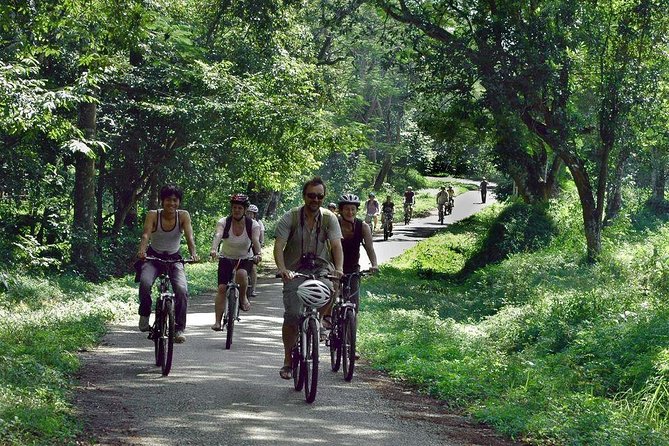 From Hanoi: Cuc Phuong National Park Day Trip by Private Car - The 5-Hour Park Time: How the Walk and Stops Actually Feel