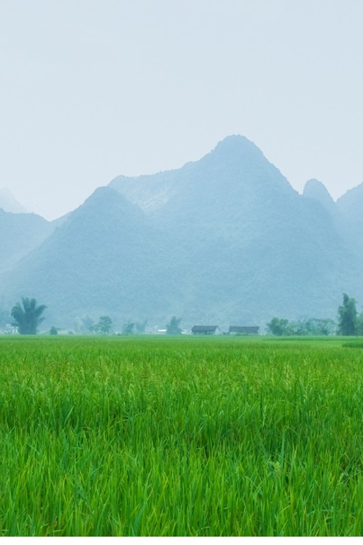From Hanoi: Easy Rider 2 Day Motorbike Tour of Cao Bang Loop - Meals and entry fees: the part that quietly protects your budget