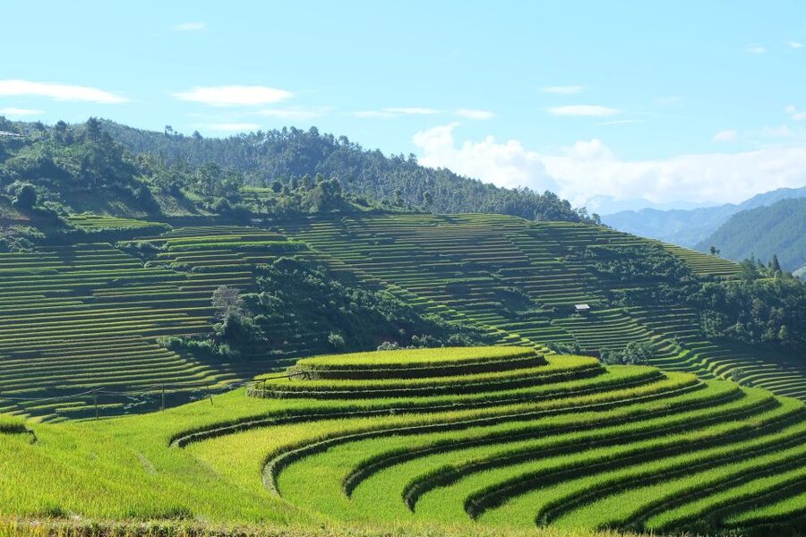 From Hanoi: Explore Sapa 2-Day Tour - Meals and Lodging: What You Actually Get for the Price