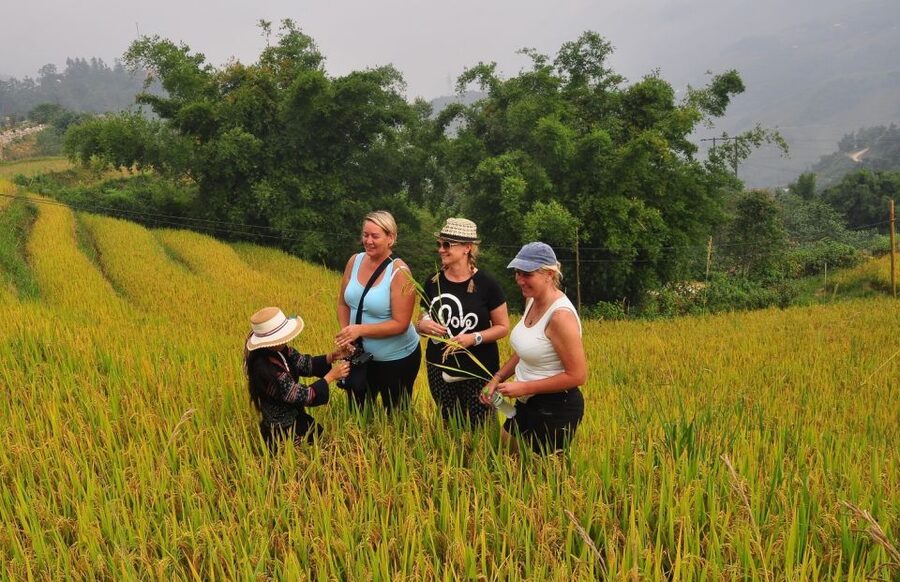 From Hanoi: Explore Sapa 2-Day Tour - What the Tour Gets Right About Village Experiences