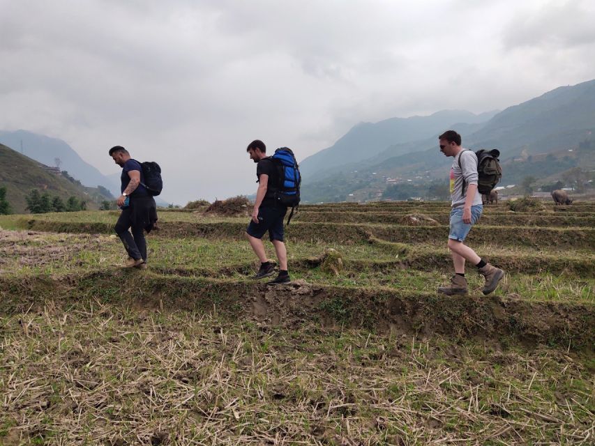 From Hanoi: Guided 2-Day Tour of Sa Pa with Lunch & Dinner - Should you book this 2-day Sa Pa tour with Vietnam Nomadtrails?