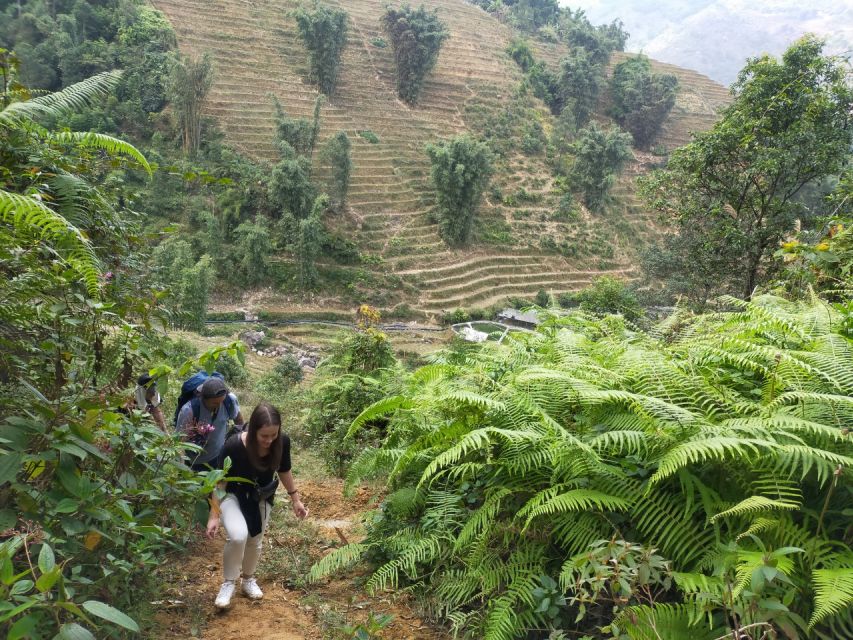 From Hanoi: Guided 2-Day Tour of Sa Pa with Lunch & Dinner - Day 2 trek: bamboo forest, suspension bridge, and lunch by Giang Ta Chai
