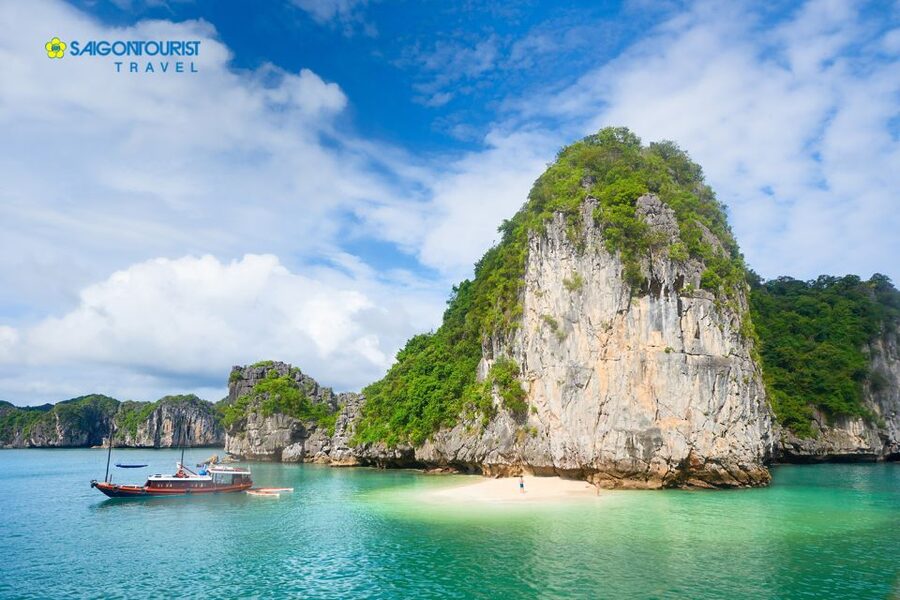 From Hanoi: Halong Bay Day Trip with Lunch and Transfers - Who should book this Halong Bay day trip