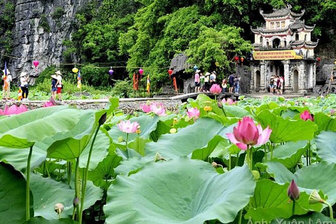From Hanoi: Hoa Lu, Tam Coc, and Mua Cave Scenic Day Trip - Hoa Lu: The Ancient Capital Temples You Can See On Foot
