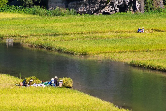 From Hanoi: Hoa Lu - Tam Coc boating - Cycling & Mua Cave visit - Boat Time at Trang An or Tam Coc: Caves, Karst, and Local Rowers