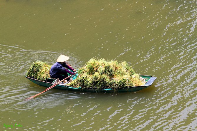 From Hanoi: Hoa Lu - Tam Coc boating - Cycling & Mua Cave visit - Buffet Lunch: Decent Vietnamese Food, Best When You Keep Expectations Real