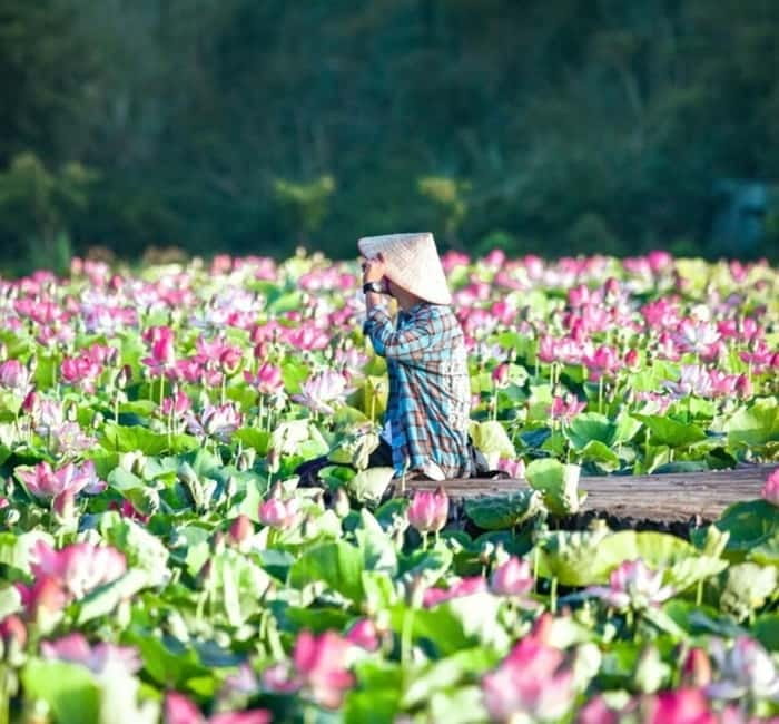 From Hanoi: Ninh Binh Bai Dinh or Hoa Lu, Trang An, Mua Cave - Who This Ninh Binh Day Trip Fits Best