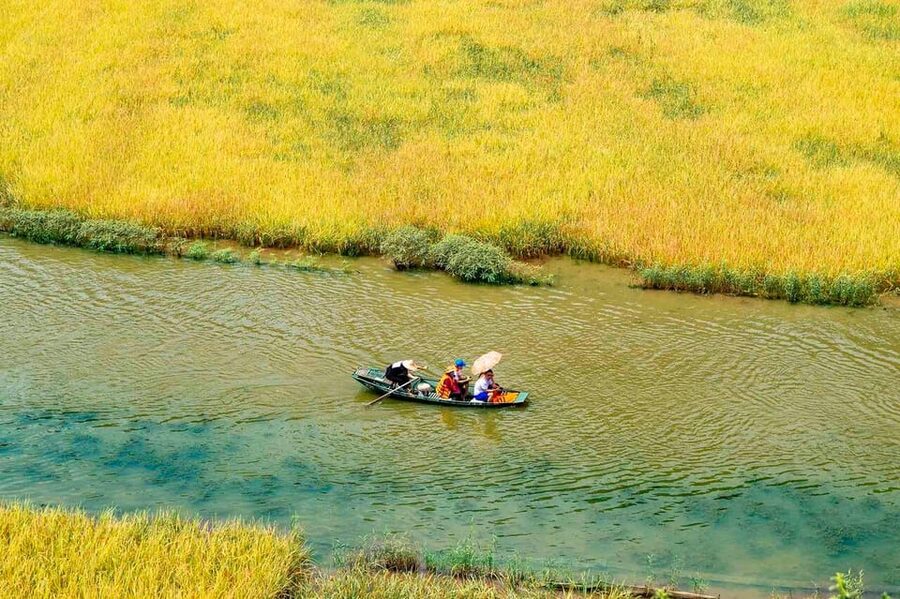 From Hanoi: Ninh Binh & Bai Dinh & Trang An & Mua Caves Tour - Hang Mua And Thung Sen: The 500 Steps, The Dragon View, And Lotus-Time Walks
