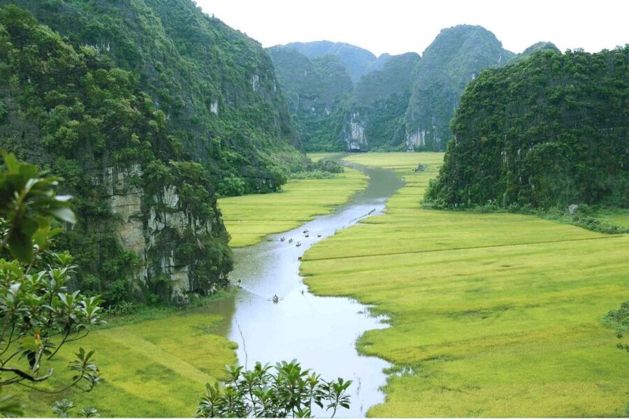 From Hanoi: Ninh Binh & Cuc Phuong National Park 2-Day Tour - Key highlights that matter on this 2-day plan