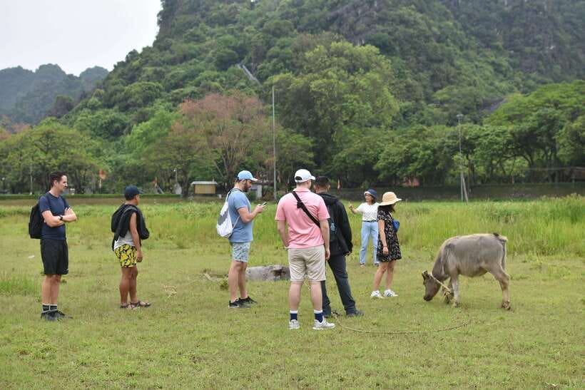 From Hanoi: Ninh Binh, Hoa Lu, Tam Coc, & Mua Cave Day-Trip - Buffet Lunch in Ninh Binh: Where the Day’s Energy Gets Refilled