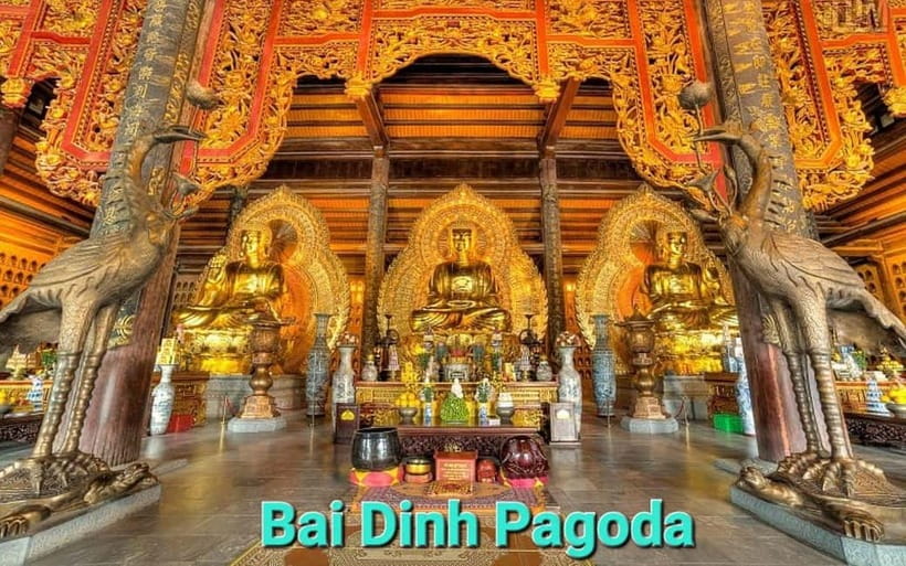 From Hanoi/NinhBinh: HoaLu-Bai Din- TrangAn- MuaCave-BichDon - The day’s rhythm in Ninh Binh: pickup timing and how guides keep you moving
