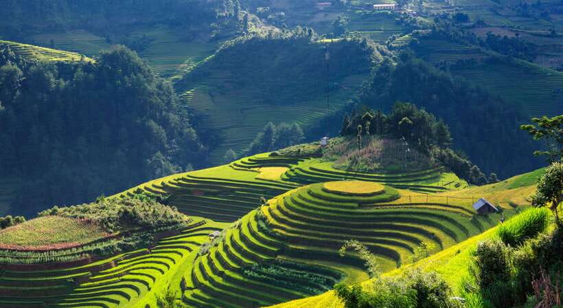 From Hanoi: Premium 3-Day Sapa Adventure with DCAR Limousine - Day 1 in Sapa: arrival, homestay night, and Black Mong village culture