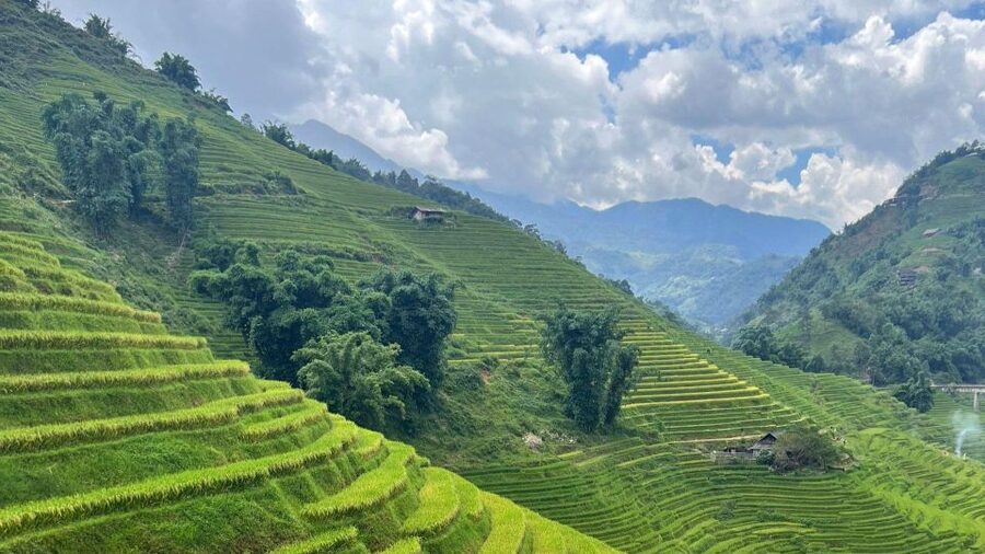 From Hanoi: Sapa 2D1N Homestay overnight by Morning bus - How hard is this trek, really?